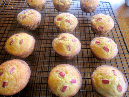 Rhubarb Muffins myfavouritepastime.com_6381
