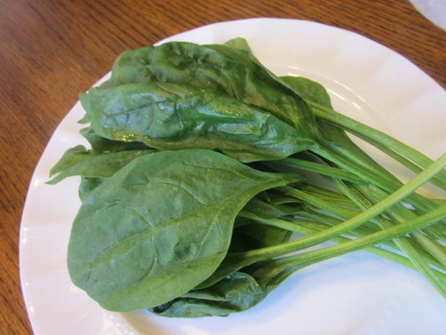 Flat or smooth leaf spinach myfavouritepastime.com