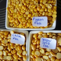 What is the difference between Split Yellow Pea, Split Chickpea and Split Pigeon Pea?