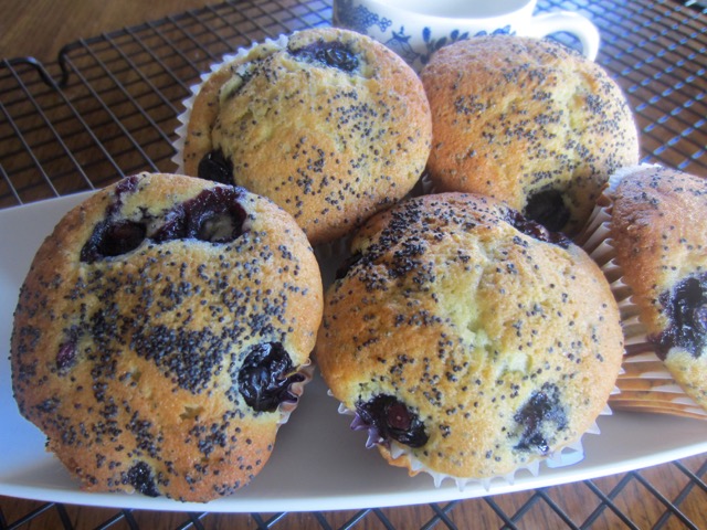 Classic Lemon Blueberry Poppy Seed Muffins myfavouritepastime.com