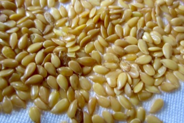 Golden Flax Seeds (Linseed) myfavouritepastime.com