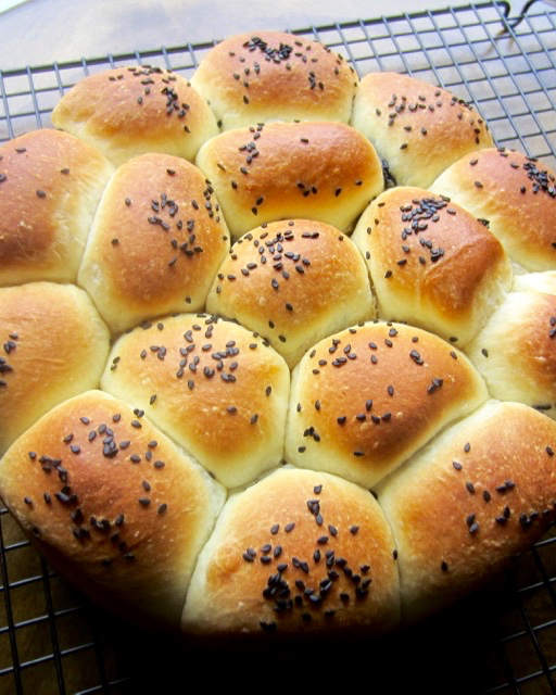 Sesame Filled Buchty (Sweet Buns) myfavouritepastime.com